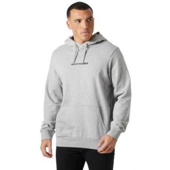 Helly Hansen Core Hoodie – Light Grey XL, Men's Edition