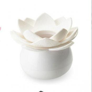 Tiroir compact pour cure‑dents Lotus
