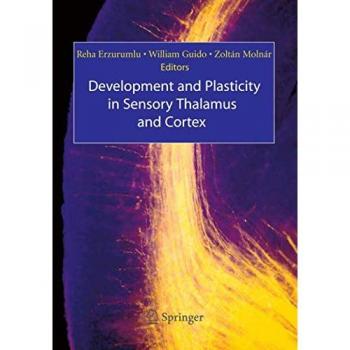 Development and Plasticity in Sensory Thalamus and Cortex