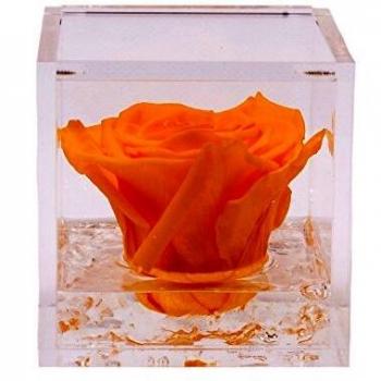 Rosa Stabilizzata Gialla in Flowercube 8x8 cm