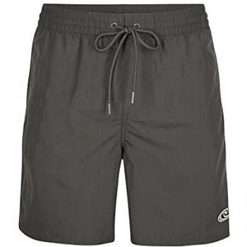 O’Neill Vert 16 Bañador Corto en Gris