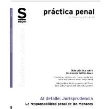 La responsabilidad penal de los menores