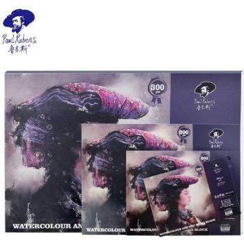 Paul Rubens 300GSM Rag Artist Watercolor Paper Pad