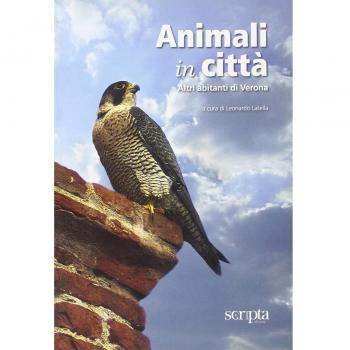 Animali in città. Altri abitanti di Verona