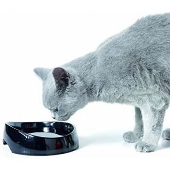 Futternapf Savic Whisker – 330 ml – für Haustierkatze