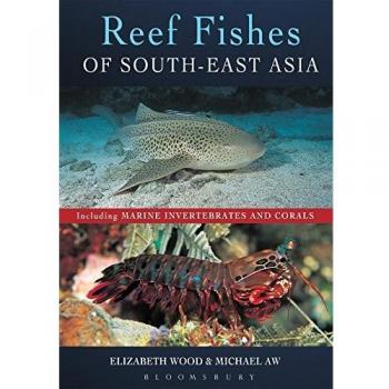 Reef Fishes of South-East Asia