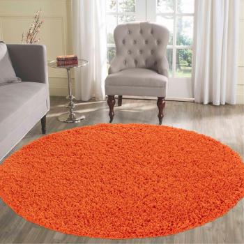 Desire Modern Shaggy Rug