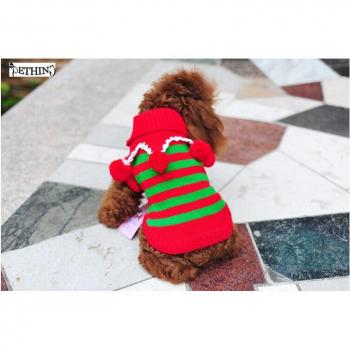 Teddy Dog Sweater
