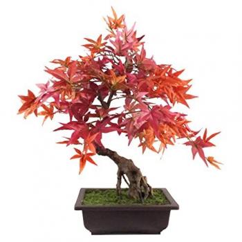 Premium 50cm Artificial Bonsai Tree