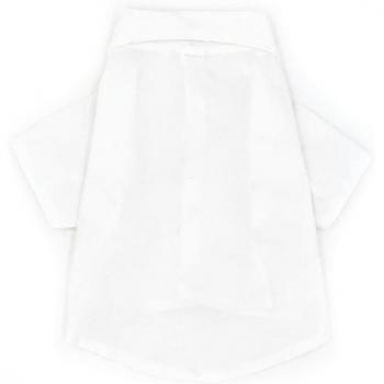 Summer French Bulldog T-Shirt PDC0047