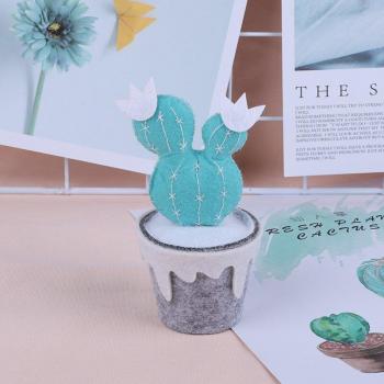 Meian DIY Wool Felt Cactus Needlepoint Craft Set