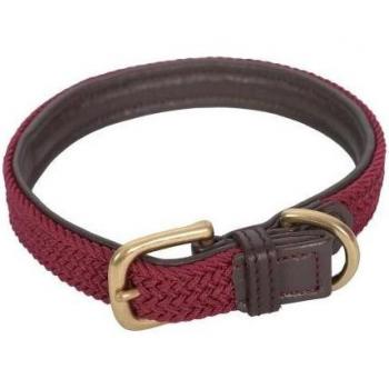 Collier en cuir tressé XS pour chien Weatherbeeta
