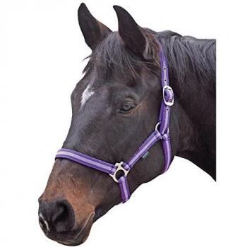 Purple Lilac Headcollar (Small Pony) – Shires Wessex