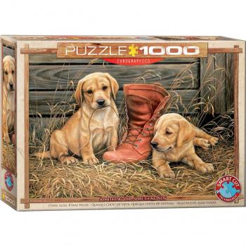 Eurographics Puzzle 1000 pezzi