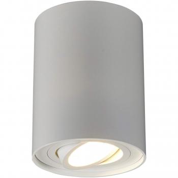Jolina White Aluminium Dimmable Ceiling Lamp for Hallway (1 Light Source, GU10)