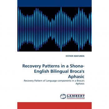 Recovery Patterns in a Shona