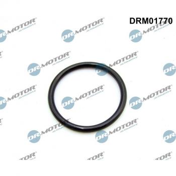 DR.MOTOR AUTOMOTIVE Joint Collecteur d'Admission DRM01770