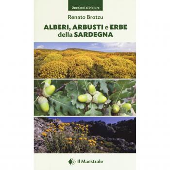 Alberi, arbusti e erbe della Sardegna. Ediz. illustrata