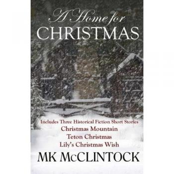 A Home for Christmas (Short Story Collection)