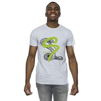 Slytherin Pop Spray T‑Shirt (Grey, 2XL) – Men's Size