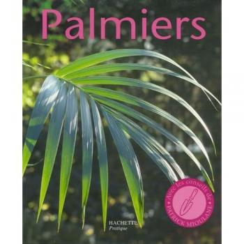 Palmiers