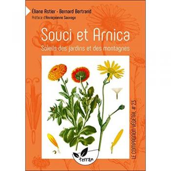 Souci et arnica