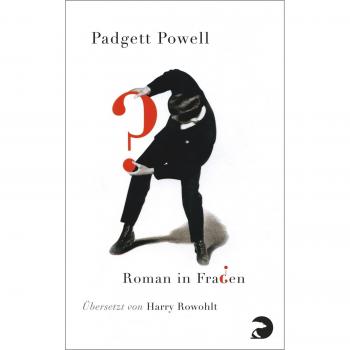 Roman in Fragen