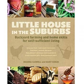 Little House in the Suburbs