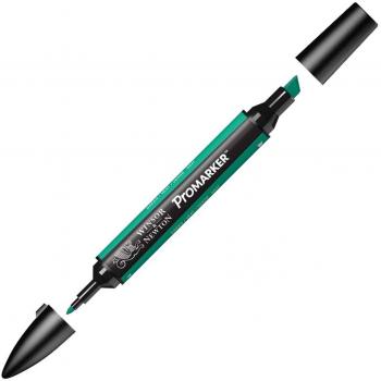 Winsor & Newton Twin Tip ProMarker Green