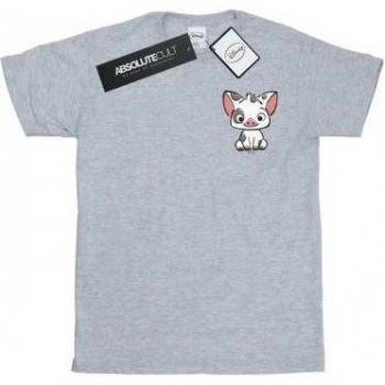 Disney Women's Moana Pua Pig Print Tee
