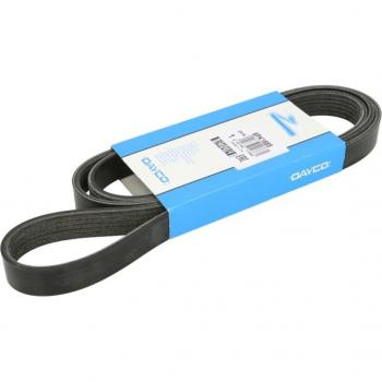 DAYCO 6PK1685 Riemen