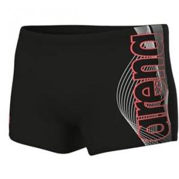 Standard Arena Swimsuit Bottoms