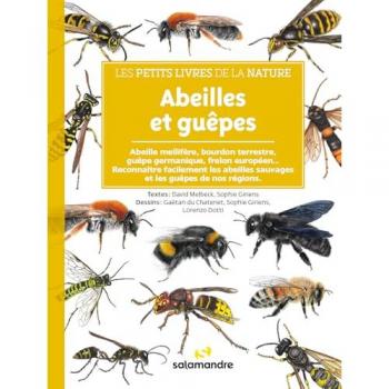 Abeilles et guêpes