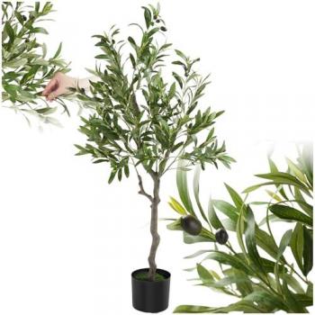 Arbusto de Olivo Ecológico 120 cm