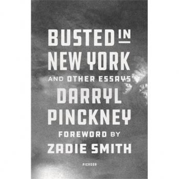 Darryl Pinckney Busted In New York & Other Essays: With An Introduction By Zadie Smith