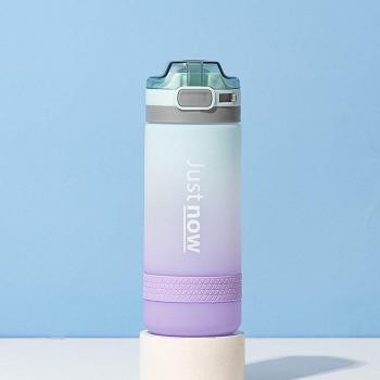 500ml/600ml Eco-Friendly Drinking Cup with Straw