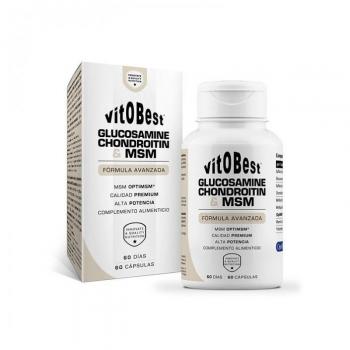 Glucosamina e Condroitina con MSM 60 Capsule