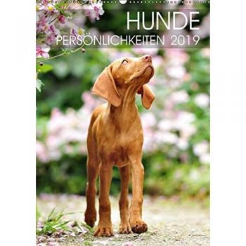 Hundepersönlichkeiten