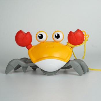 Outdoor Beach Crab Toy for Kids
