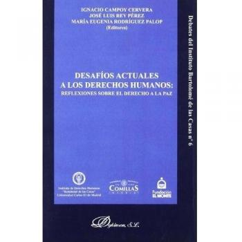 Desafíos actuales a los derechos humanos