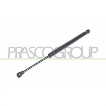 Amortiguador de maletero PRASCO BM0189055 resistente