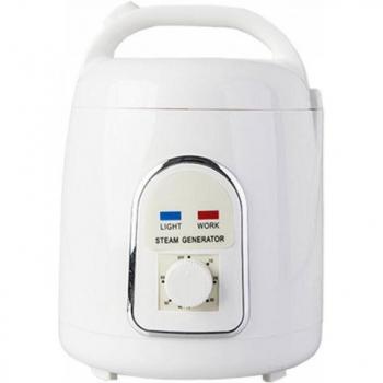 Machine à Fumigation pour Cuisine 1,5 L