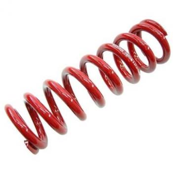 Ammortizzatore RockShox 114/45 mm – Molla 11 mm (Metric) 50 lb