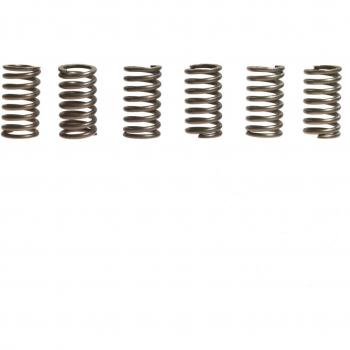 Kupplungsfeder-Kit EBC Brakes CSK041