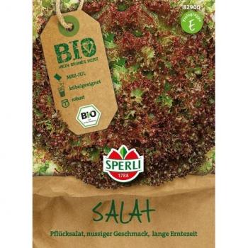 Sperli roter Pflücksalat