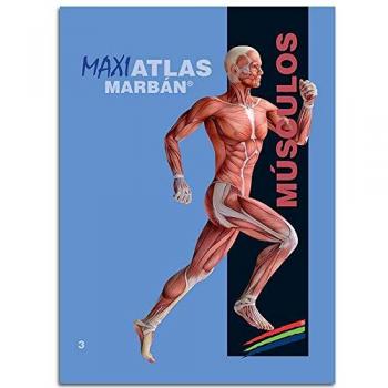 Musculos.