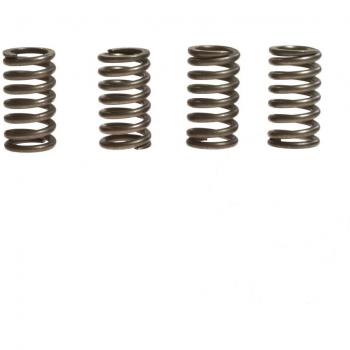 Molle di frizione EBC per Suzuki DR