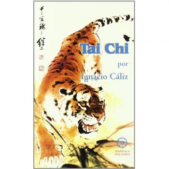 1137111 ENGANCHE DE CINTURON para SUZUKI SWIFT V (AZ) 1.2 HYBRID (MILD HYBRID)