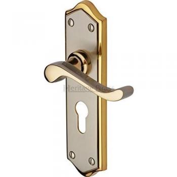 Buckingham Euro Profile Door Handle Set of 2 Jupiter Finish