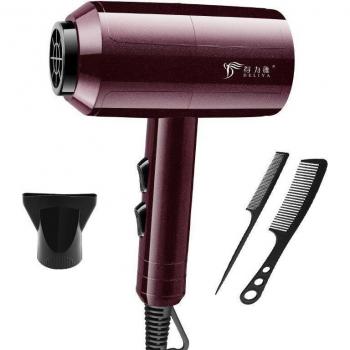 Mini Blow Dryer 2200W
